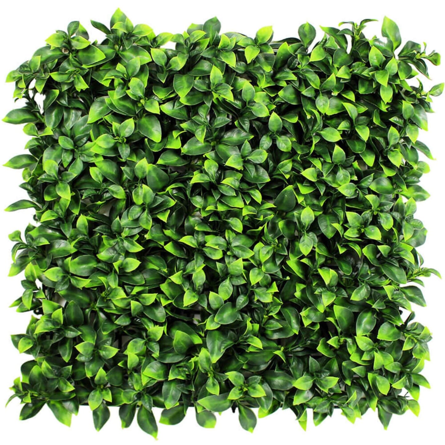 Jasmine Artificial Green Wall 40" x 40"