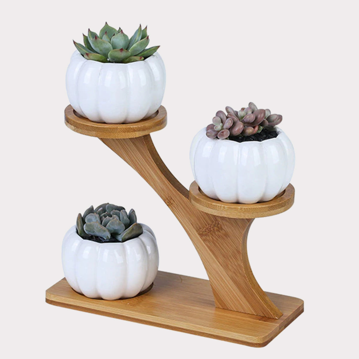 Succulent Pots & Bamboo Shelf