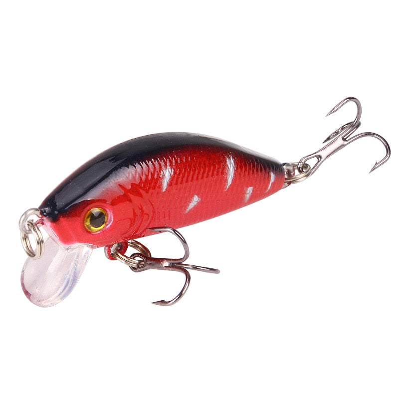 Minnow Fishing Lure