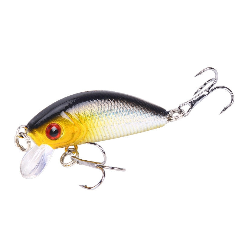 Minnow Fishing Lure