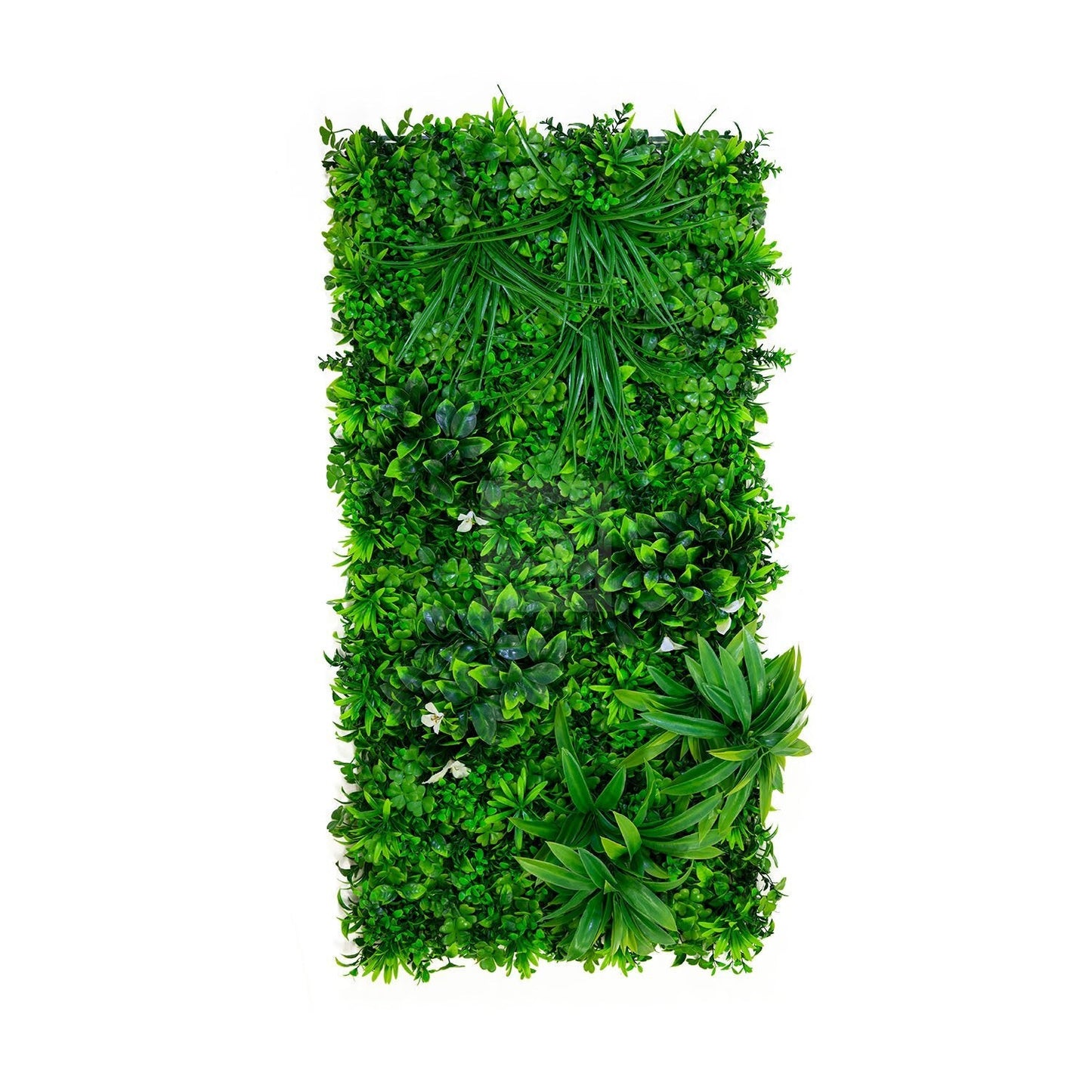 RealTex White Oasis Living Wall Pack