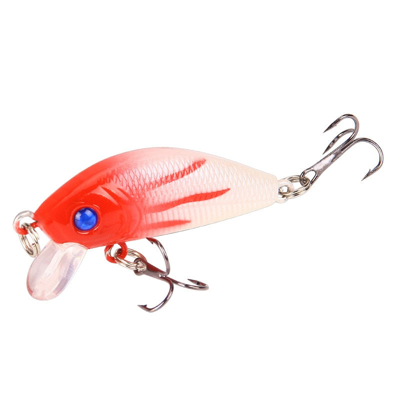 Minnow Fishing Lure