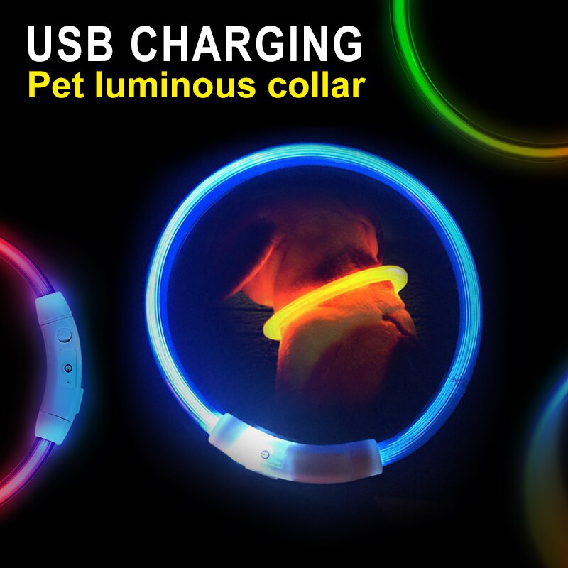 Rechargeable LED Light Dog Collar