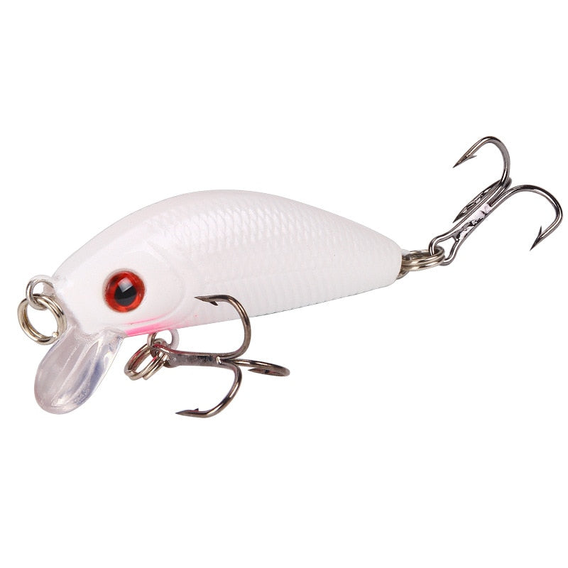 Minnow Fishing Lure