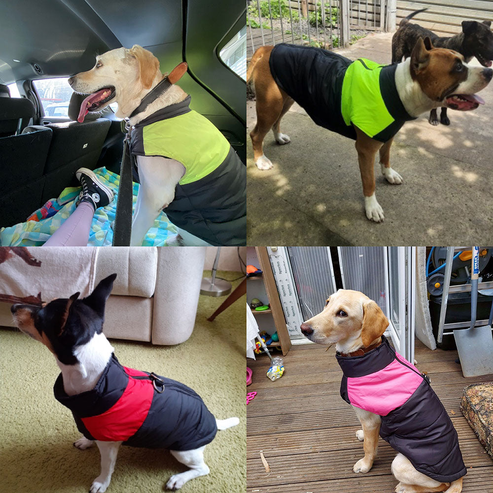 Waterproof Padded Zipper Vest for Dogs