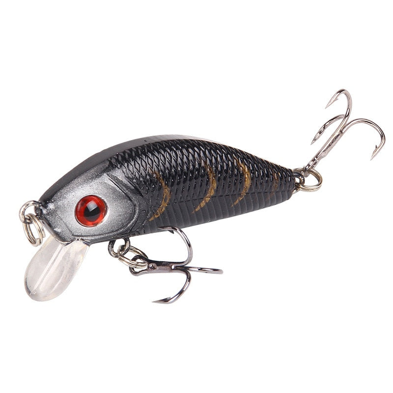 Minnow Fishing Lure