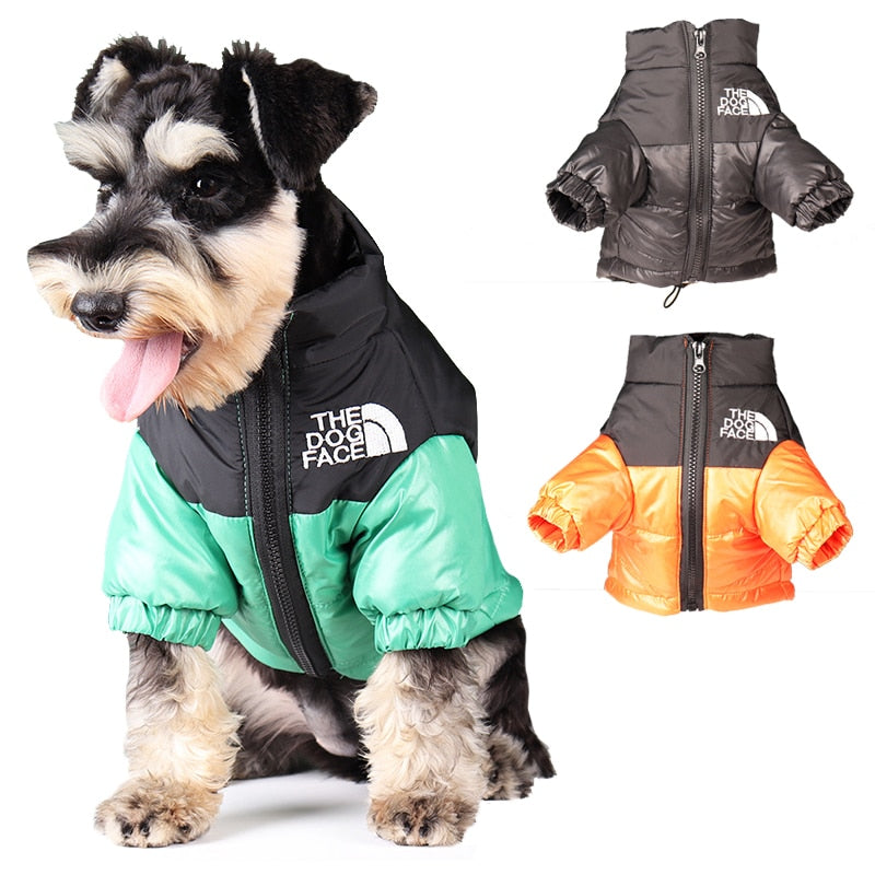 Sporty Dog Jackets