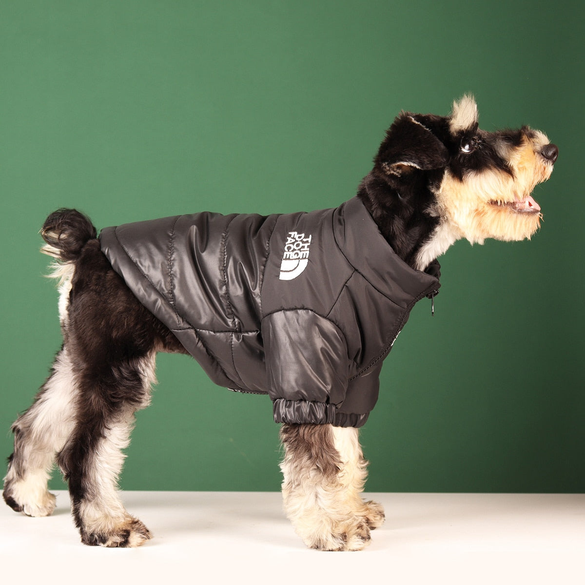 Sporty Dog Jackets