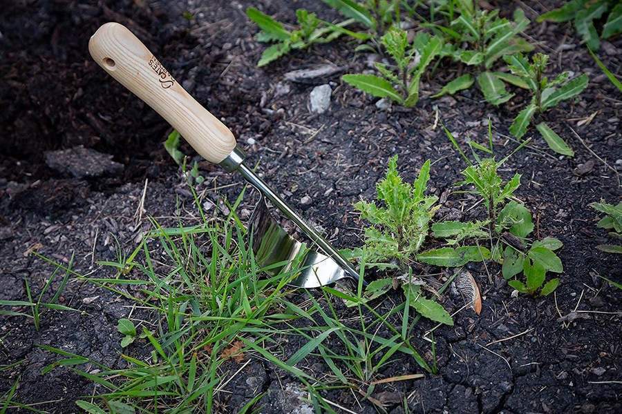 Garden Hand Weeder