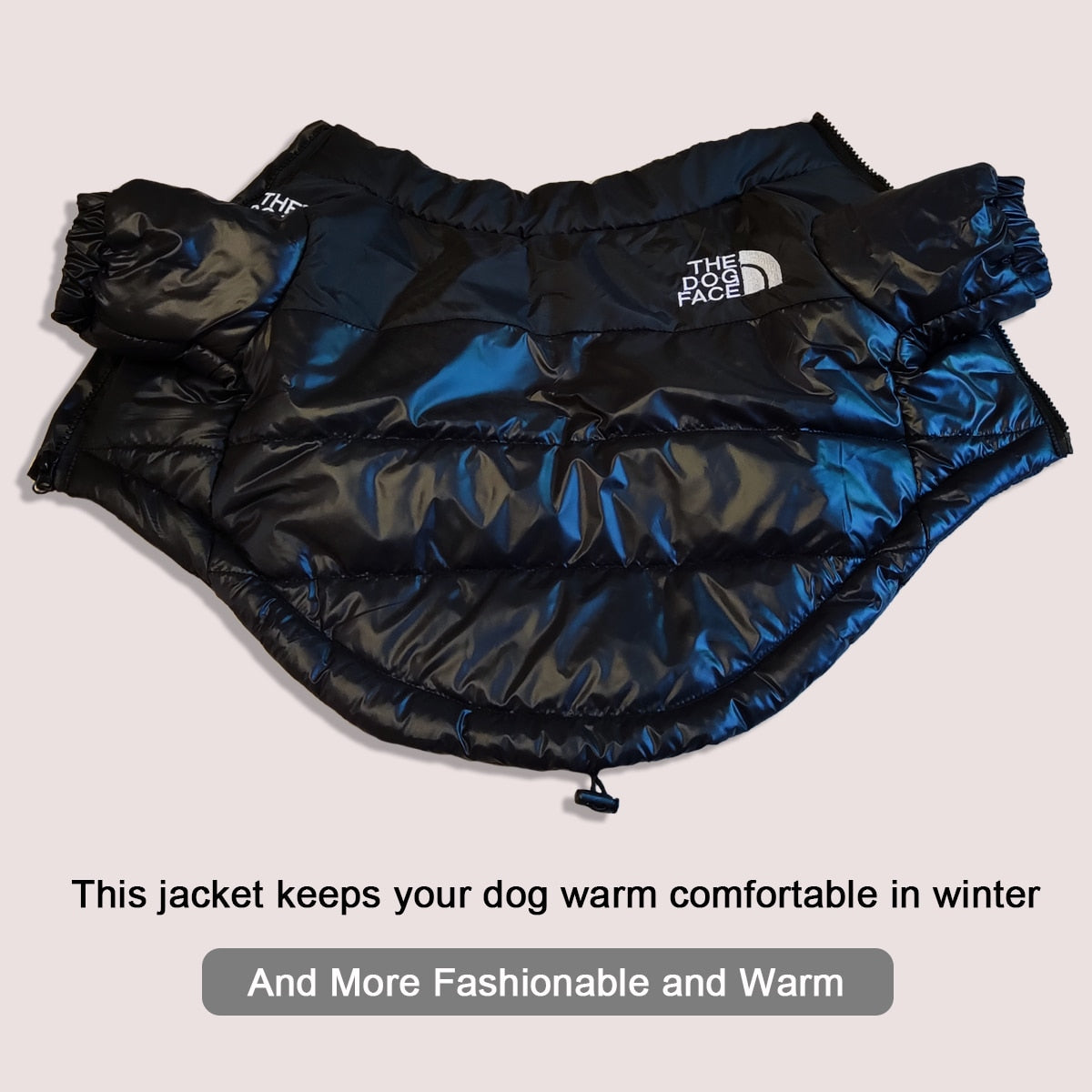 Sporty Dog Jackets