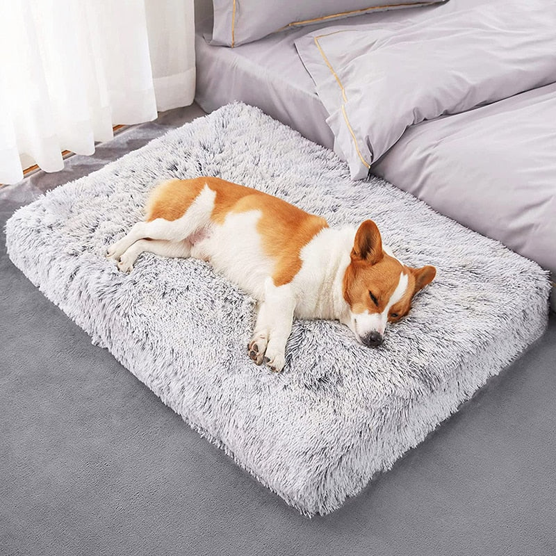 Plush Washable Dog Bed