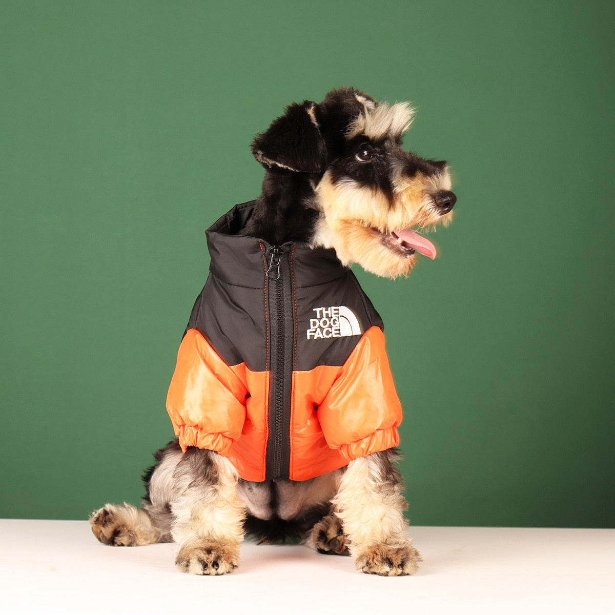 Sporty Dog Jackets