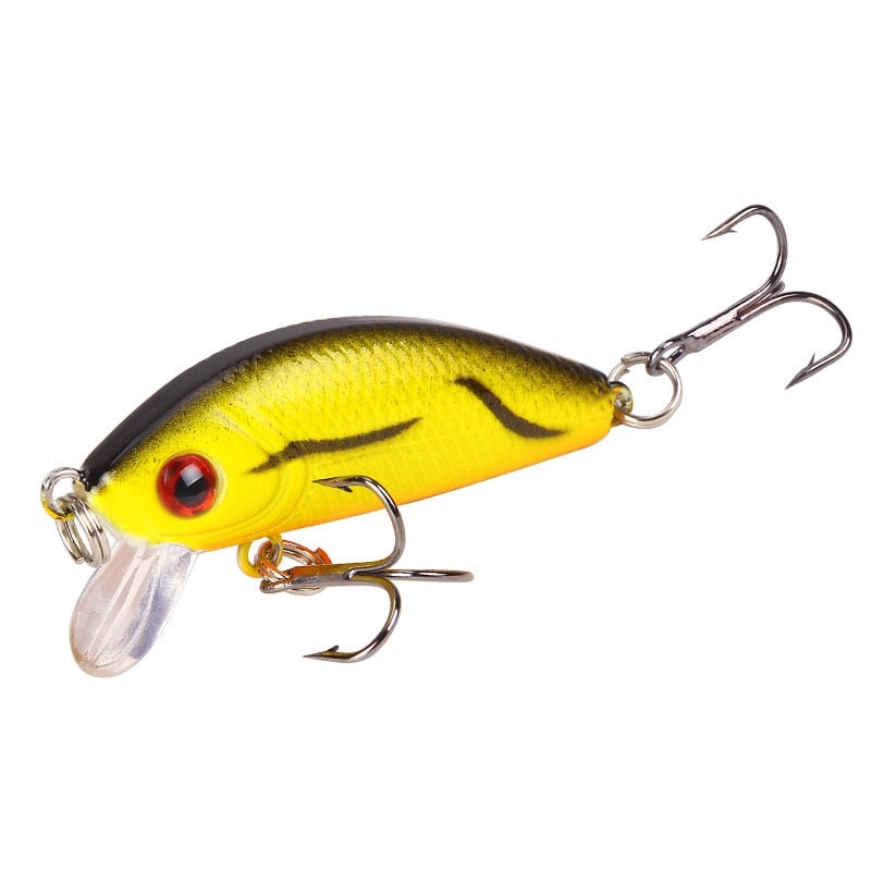 Minnow Fishing Lure