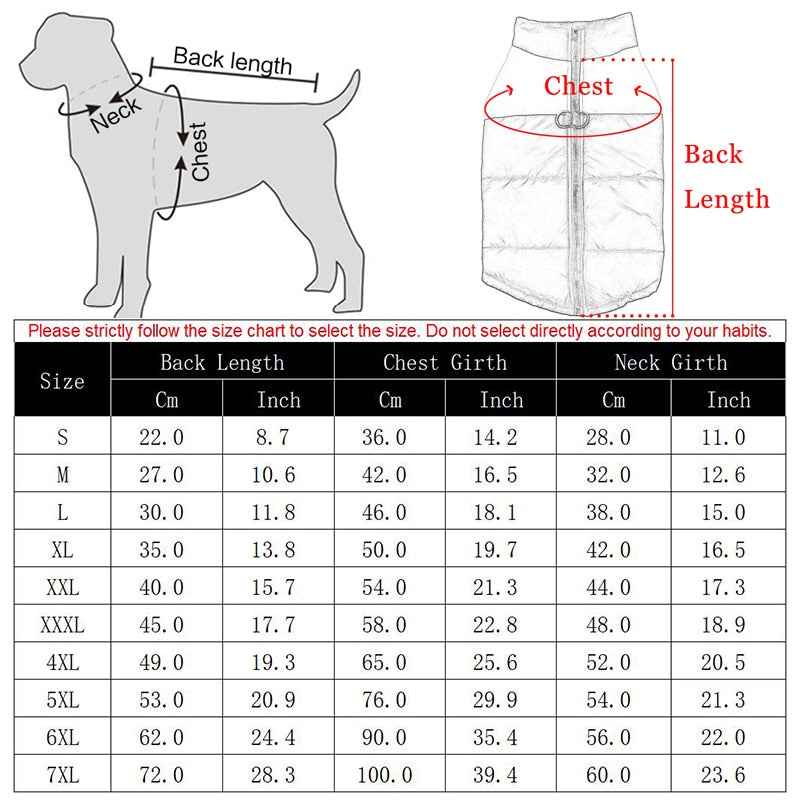 Waterproof Padded Zipper Vest for Dogs