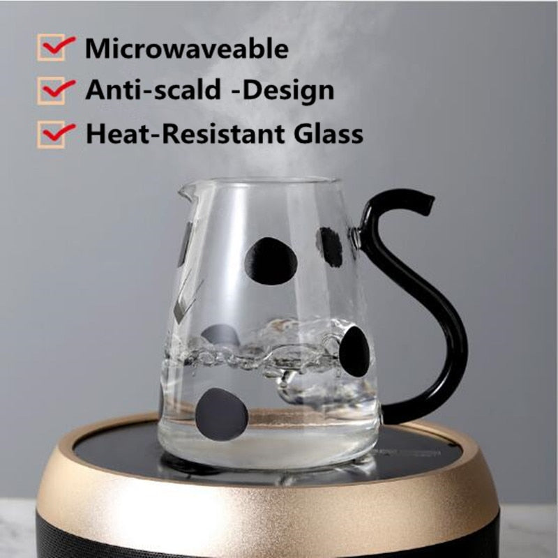 Borosilicate Glass Pitcher Set