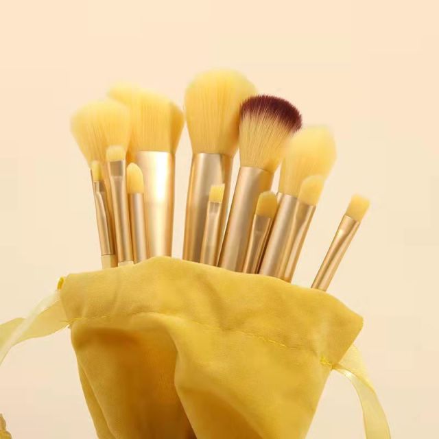 13Pc Makeup Brush Set