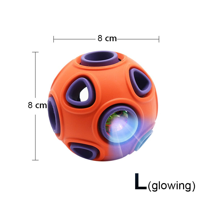 Interactive Ball Dog Chew Toy