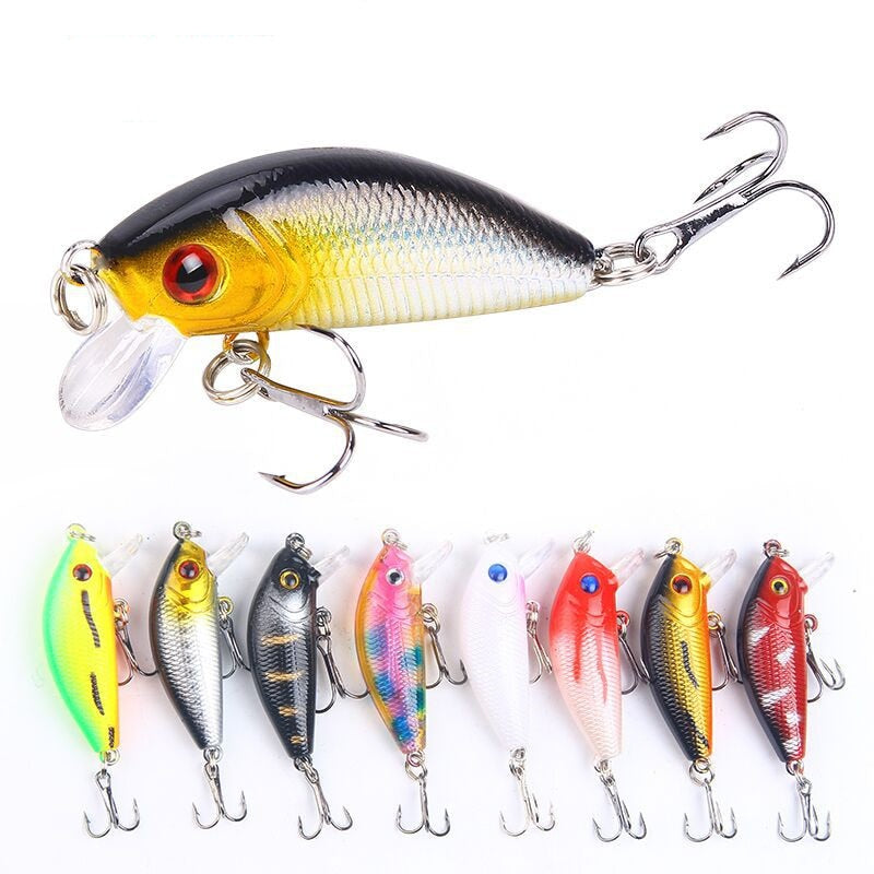 Minnow Fishing Lure