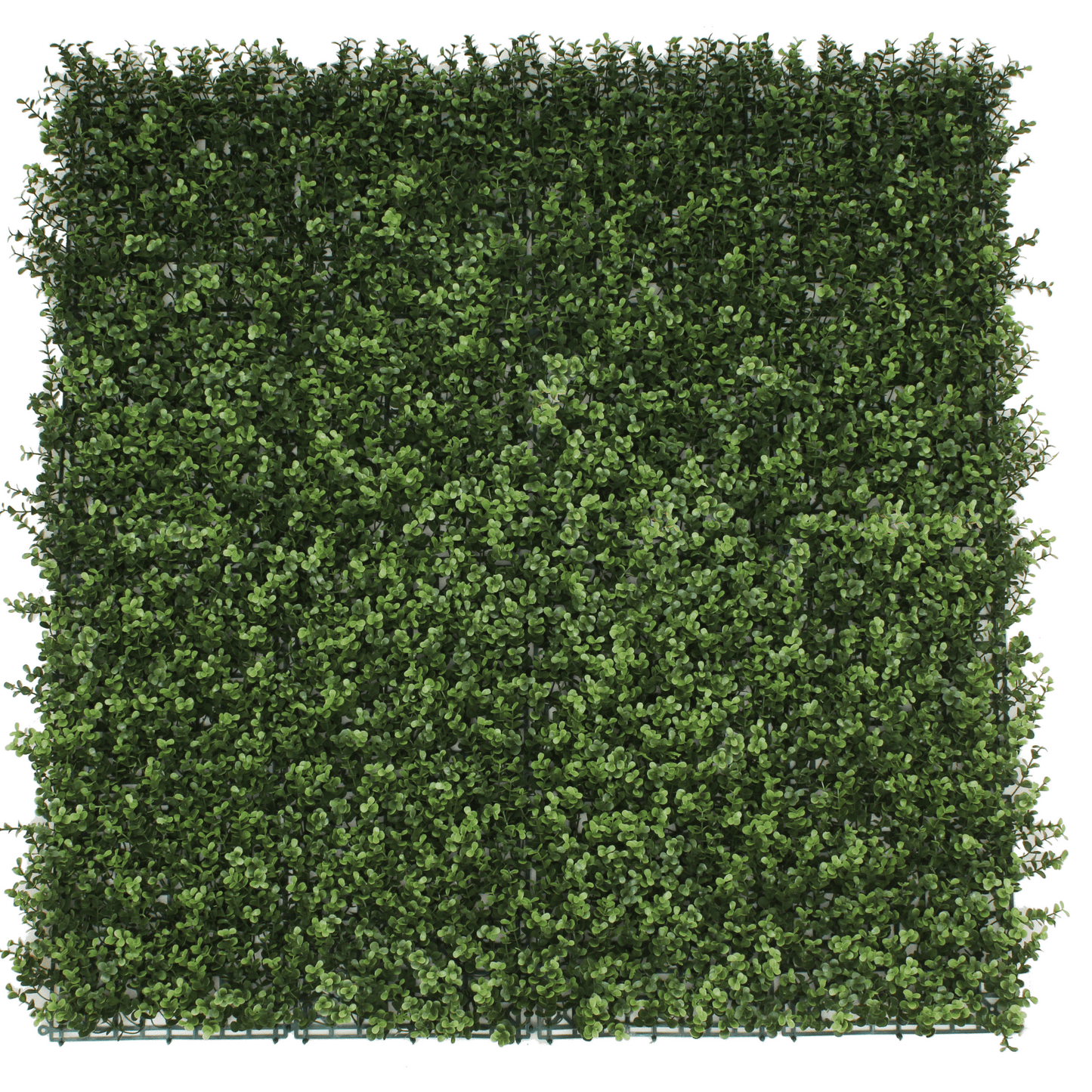 Faux Buxus Boxwood Wall 40" x 40"