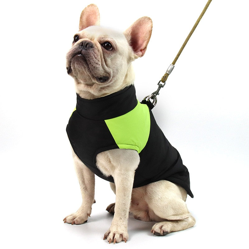 Waterproof Padded Zipper Vest for Dogs