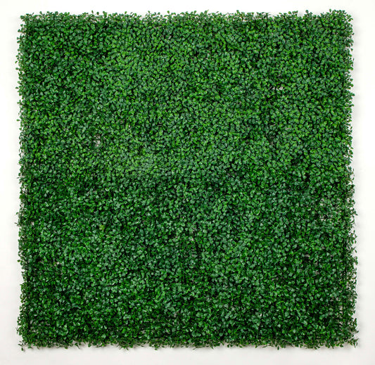 Boxwood Green Wall Panel Pack