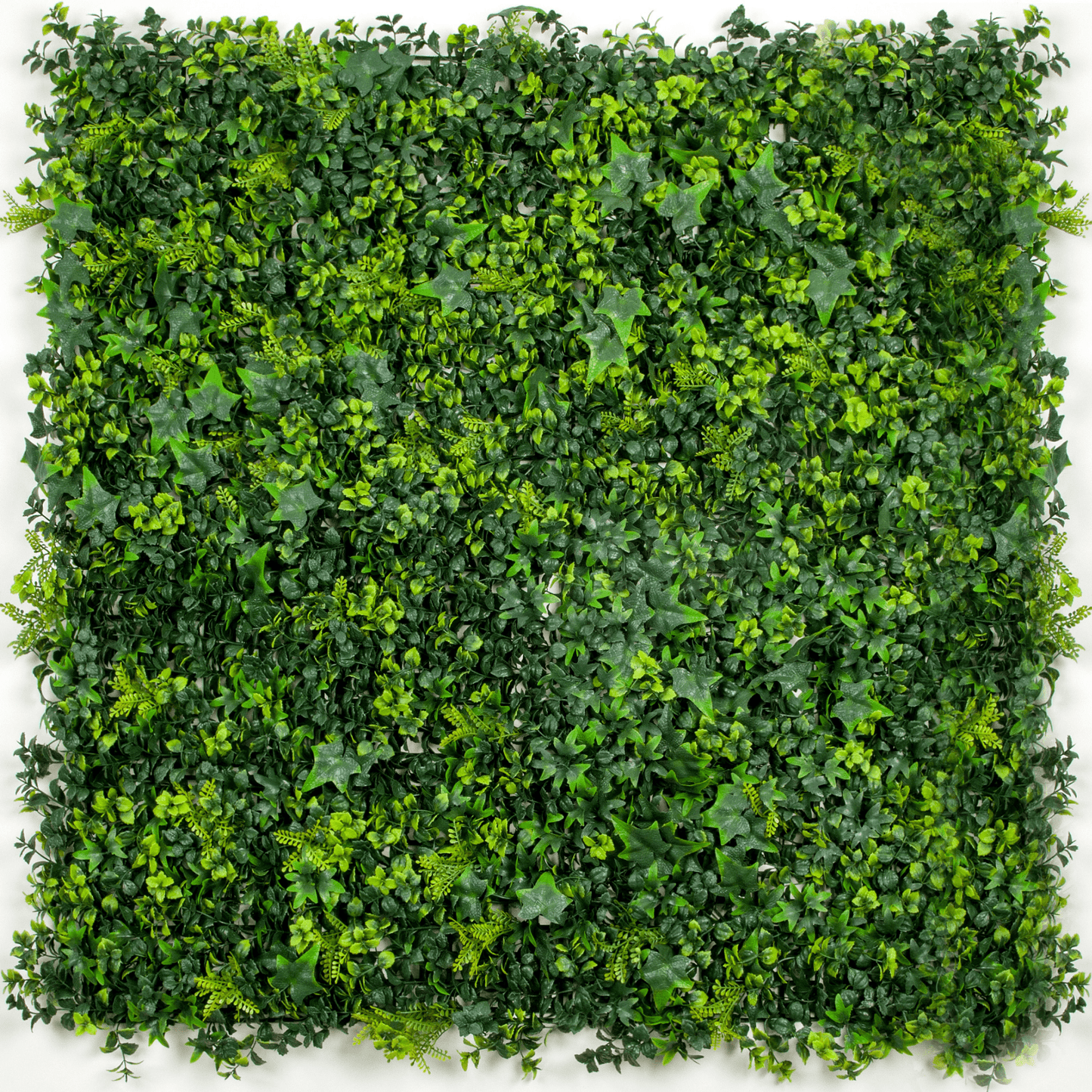 Spring Sensation Artificial Green Wall 40" x 40" 11SQ FT UV Resistant